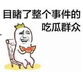 风信鹤羽带你吃瓜,揭秘美食背后的故事