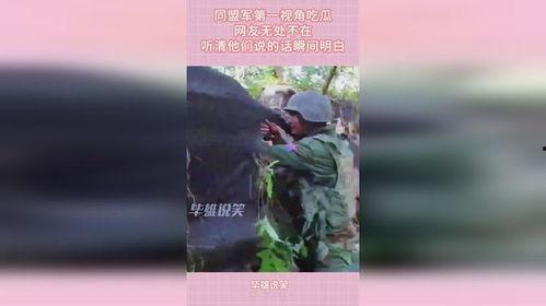 第一视角吃瓜,揭秘娱乐圈幕后故事