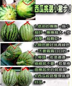 浮瓜咋吃,浮瓜咋吃的独特美味体验