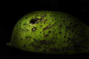 关注民生问题吃瓜,吃瓜群众共议民生问题