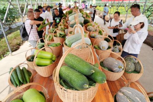 广州摄影圈吃瓜,揭秘幕后“吃瓜”大事件