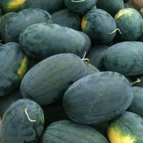 看瓜吃瓜头像图片,看瓜吃瓜头像，解锁夏日趣味瞬间