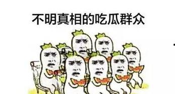 单纯吃瓜,揭秘那些让人捧腹的吃瓜故事