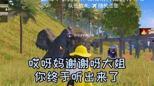 六一吃鸡日记吃瓜,趣味吃瓜，欢乐无限