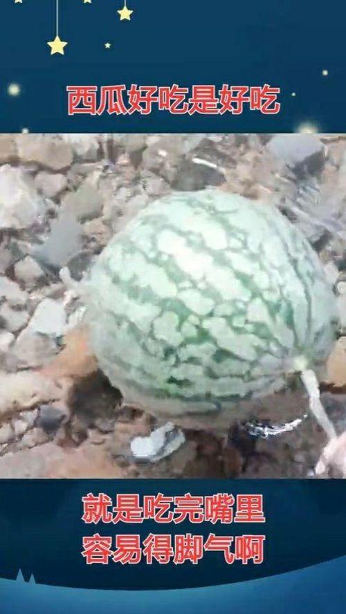 吃瓜差点得脚气,警惕瓜果带来的健康隐患