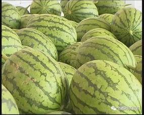 吃瓜观察线,揭秘娱乐圈幕后真相