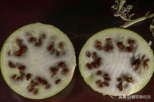 沙漠吃瓜和馕,吃瓜与馕的交融之旅