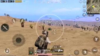 吃鸡视频渣渣瓜,渣渣瓜带你领略吃鸡游戏魅力