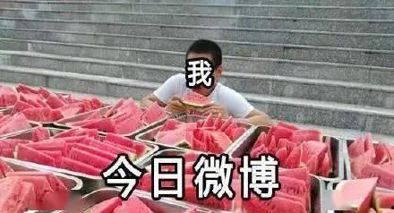 吃瓜视野,吃瓜群众视角下的明星生活