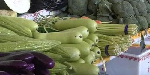 吃小瓜苦,探寻生活百味