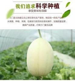 台州吃瓜事件,一场网络舆论的风暴与反思