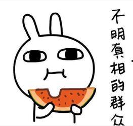 吃西子瓜文案搞笑,一口笑掉牙的甜蜜诱惑！”
