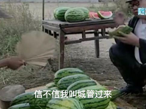 吃瓜遭遇,一场意外的“瓜界”冒险