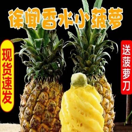 吃瓜小波萝,揭秘娱乐圈那些不为人知的幕后故事