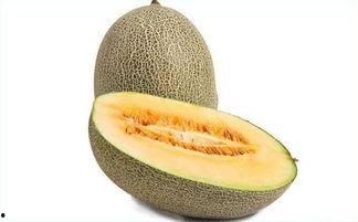 生理期哈密瓜可以吃吗,哈密瓜的食用指南