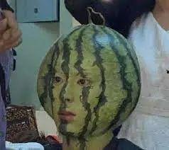 纽约留学圈吃瓜,揭秘留学生活中的“吃瓜”趣事