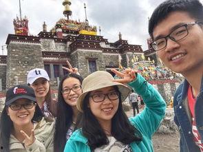 吃瓜小分队007,吃瓜小分队007的神秘冒险之旅