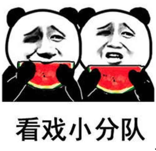 吃瓜打人表情包,网络恶搞的狂欢与反思