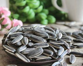 吃瓜 吃瓜子,揭秘吃瓜与吃瓜子的趣味时光