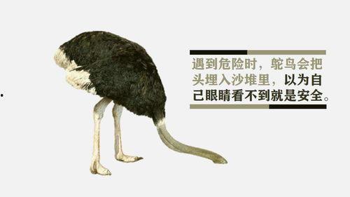 吃瓜心态鸵鸟心态,揭秘两种独特心态的趣味解读 第2张 吃瓜心态鸵鸟心态,揭秘两种独特心态的趣味解读 第2张