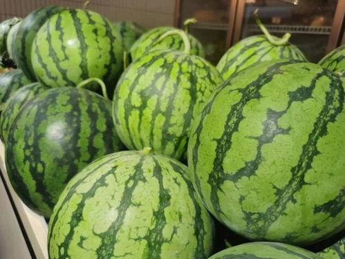 时笑笑吃瓜系统,揭秘娱乐圈幕后真相  第3张