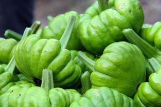 姜柄瓜可以怎么吃,创意烹饪指南  第2张