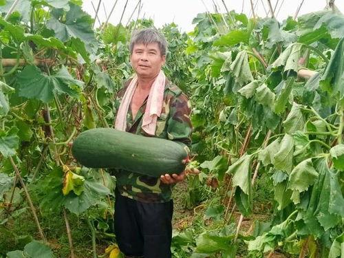 火爆吃瓜热点,火爆热点背后的惊人真相 第2张 火爆吃瓜热点,火爆热点背后的惊人真相 第2张