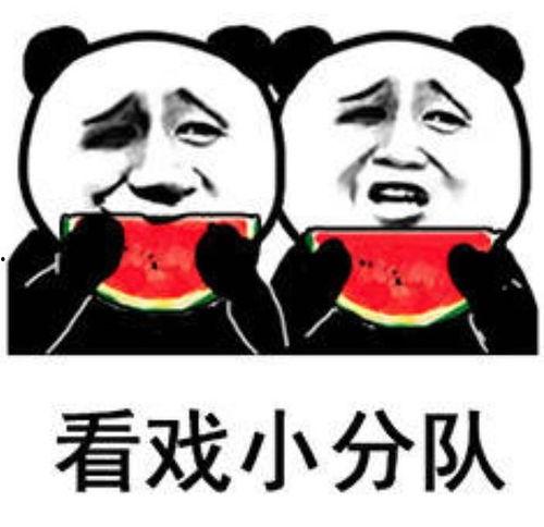 深夜吃瓜表情包 第2张 深夜吃瓜表情包 第2张