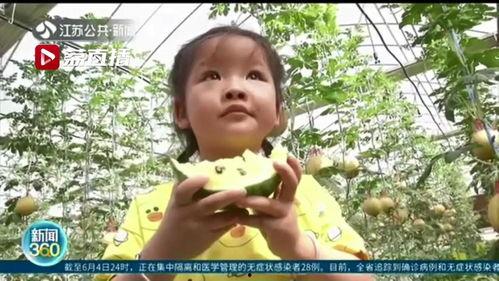 吃瓜江苏奔现,揭秘网红背后的真实生活 第3张 吃瓜江苏奔现,揭秘网红背后的真实生活 第3张