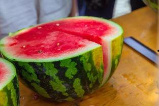 吃塔莎家的瓜,尽享田园生活滋味  第2张