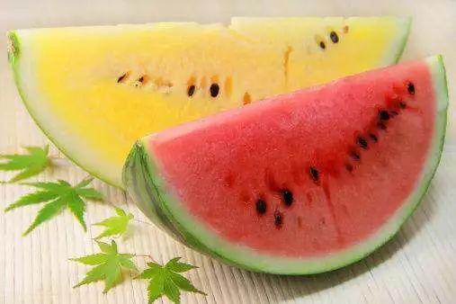 吃瓜高端话语大全,解锁高端话语大全,轻松成为社交圈焦点 第2张 吃瓜高端话语大全,解锁高端话语大全,轻松成为社交圈焦点 第2张