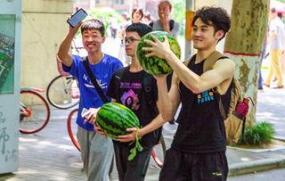 长春学员吃瓜,一场别开生面的校园“吃瓜”盛事