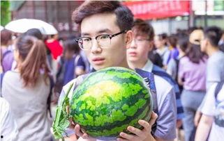 长春学员吃瓜,一场别开生面的校园“吃瓜”盛事 第3张 长春学员吃瓜,一场别开生面的校园“吃瓜”盛事 第3张