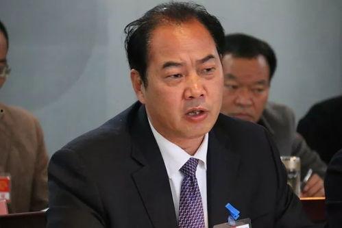 杨毅吃瓜群众,揭秘娱乐圈幕后真相